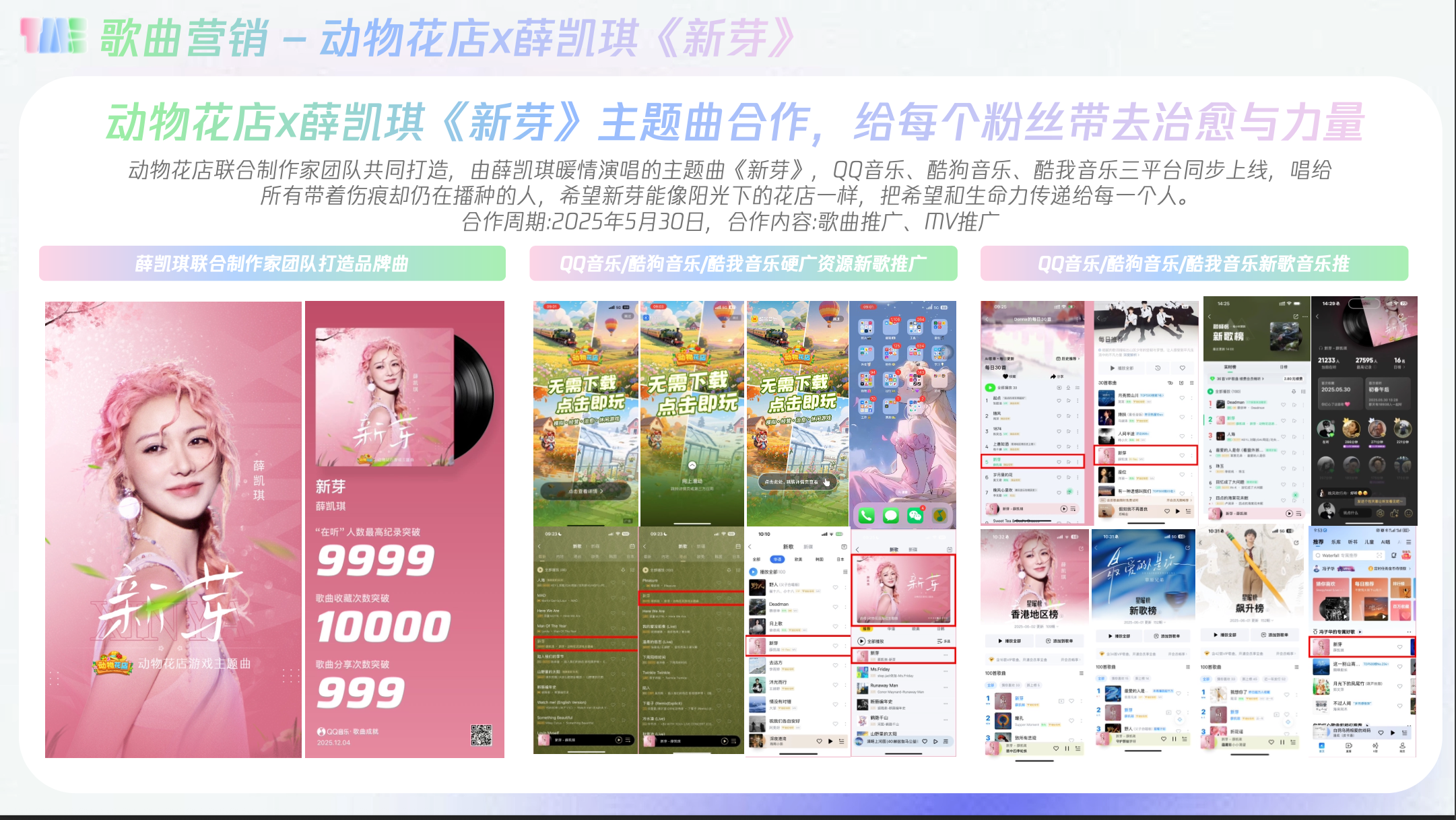 动物花店x薛凯琪